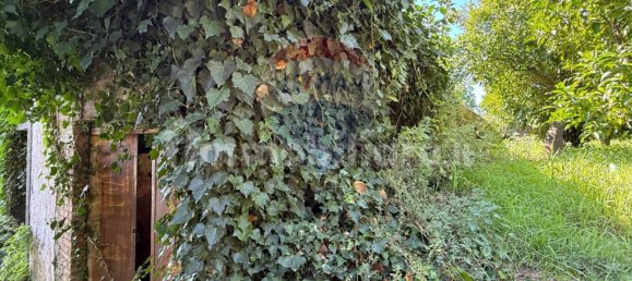 Terreno em Giarre, Italy 55324 m² N.º 273502 32