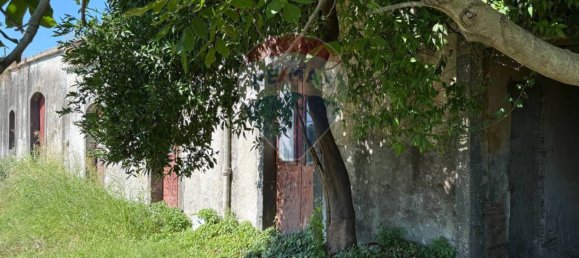 Terreno em Giarre, Italy 55324 m² N.º 273502 44