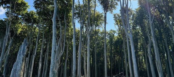 9غرفة فندق في Rostock, Germany رقم 218412 13