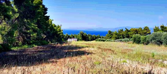 Hotel em Chalkidiki, Greece 8000 m² N.º 5958 4