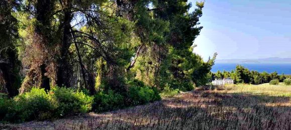 Hotel em Chalkidiki, Greece 8000 m² N.º 5958 3
