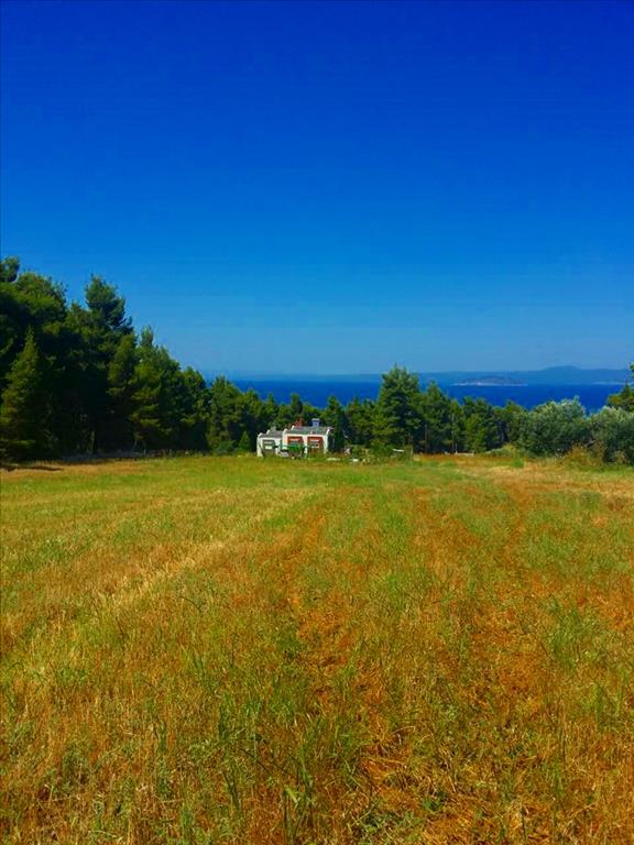 Hotel em Chalkidiki, Greece 8000 m² N.º 5958