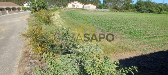 Grundstück in Pedralva, Portugal, Nr. 190460 4