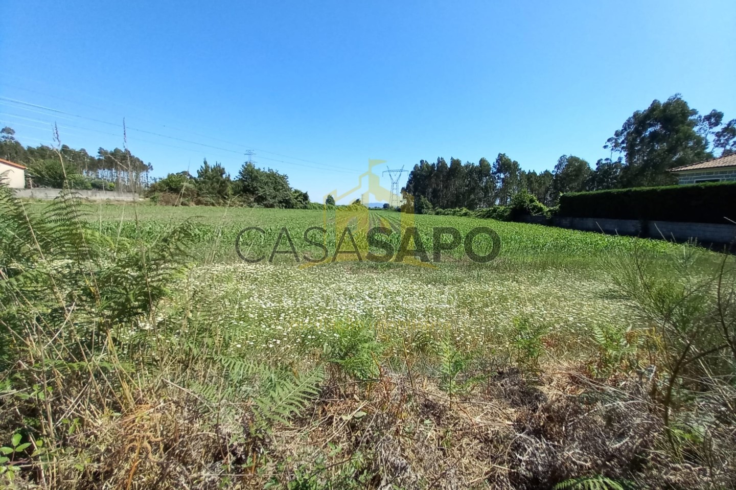 Grundstück in Pedralva, Portugal, Nr. 190460