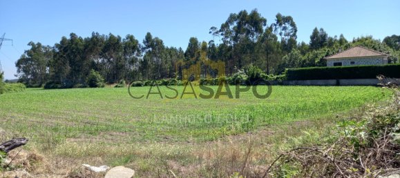 Grundstück in Pedralva, Portugal, Nr. 190460 2