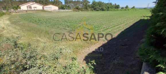 Grundstück in Pedralva, Portugal, Nr. 190460 11