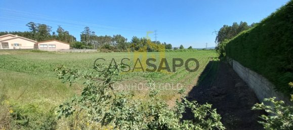 Grundstück in Pedralva, Portugal, Nr. 190460 8