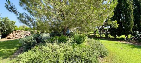 Villa de 5 dormitorios en Timi, Cyprus No. 13652 12