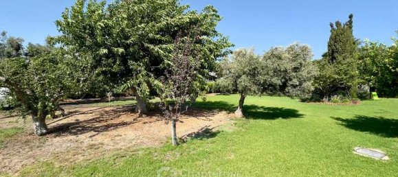 Villa de 5 dormitorios en Timi, Cyprus No. 13652 6