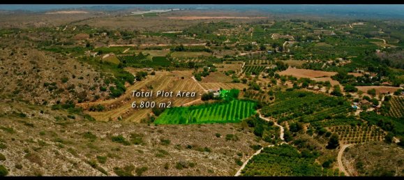 Дом с 1 спальней в Валенсия, Испания № 156333 4