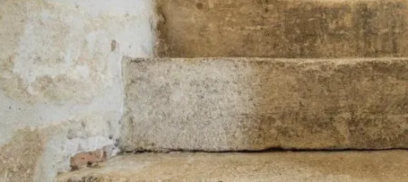 2 غرف نوم منزل في Uzes, France رقم 350001 7