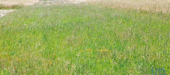 4 Schlafzimmer Haus in Gafanha da Encarnacao, Portugal, Nr. 306361 18