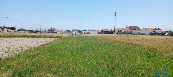 4 Schlafzimmer Haus in Gafanha da Encarnacao, Portugal, Nr. 306361 17