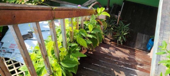 Hotel de 11 dormitorios en Chiang Mai, Thailand No. 57735 21