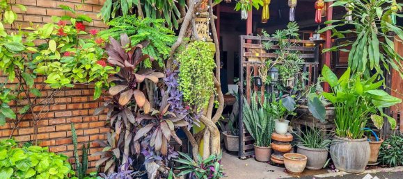 Hotel de 11 dormitorios en Chiang Mai, Thailand No. 57735 23