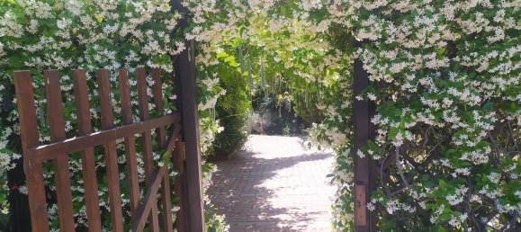 3 Schlafzimmer Haus in Zagarolo, Italy, Nr. 323556 38