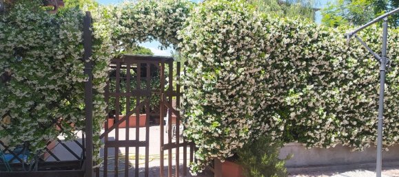 3 Schlafzimmer Haus in Zagarolo, Italy, Nr. 323556 33