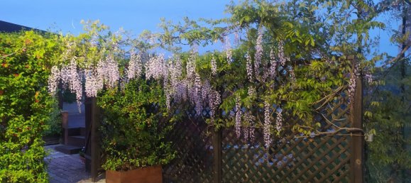 3 Schlafzimmer Haus in Zagarolo, Italy, Nr. 323556 31