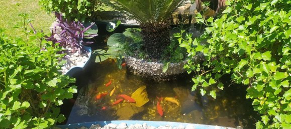 3 Schlafzimmer Haus in Zagarolo, Italy, Nr. 323556 46