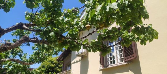 3 Schlafzimmer Haus in Zagarolo, Italy, Nr. 323556 32