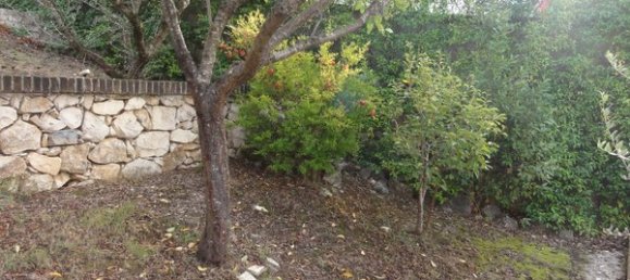 7 rooms Villa in Ceccano, Italy No. 89200 14