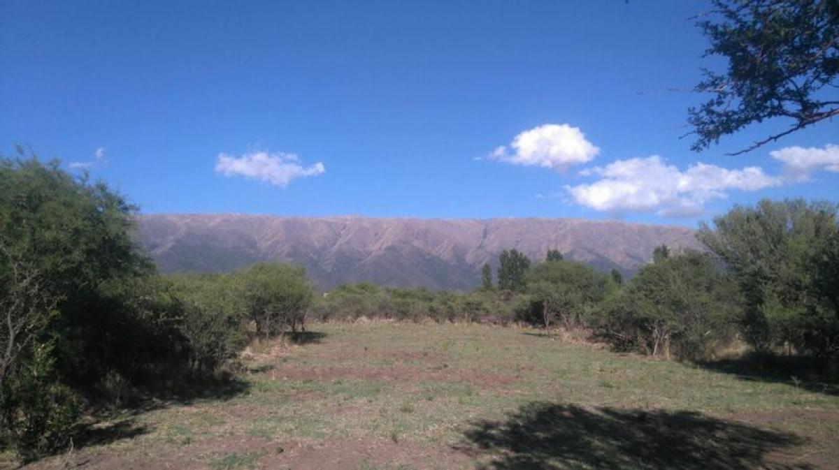 Terrain à San Luis, Argentina No. 39256