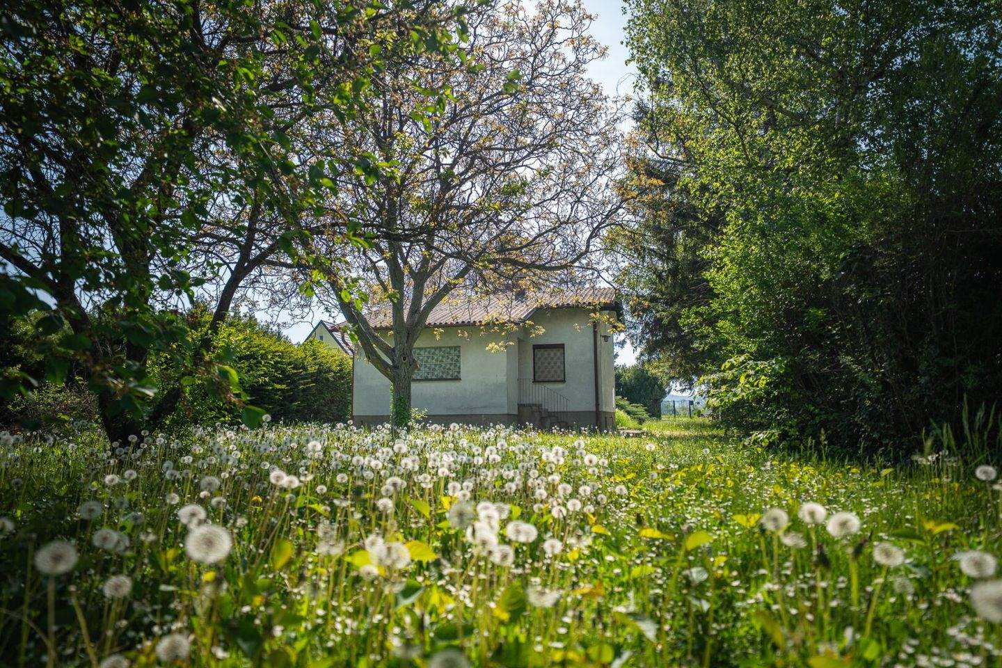 Terreno en Pottendorf, Austria No. 242925