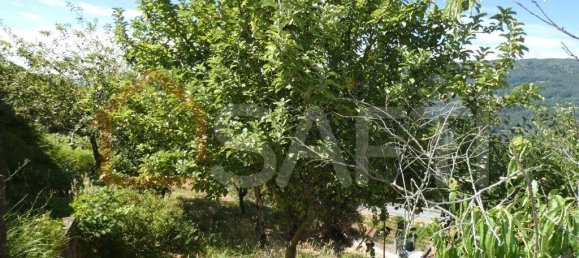 5 bedrooms House in Cristoval, Portugal No. 96060 14