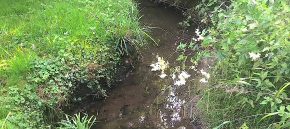 Terreno T2 em Osnabruck, Germany N.º 258201 3