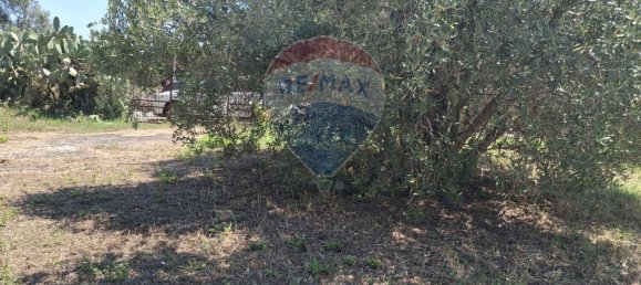 8 rooms Villa in Minturno, Italy No. 268023 24