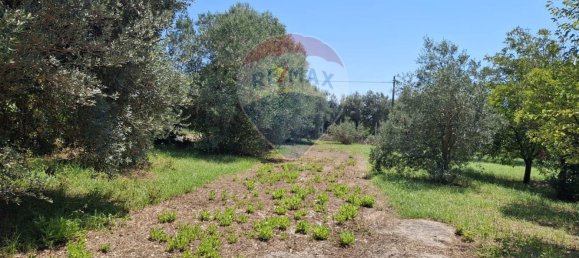 8 rooms Villa in Minturno, Italy No. 268023 28