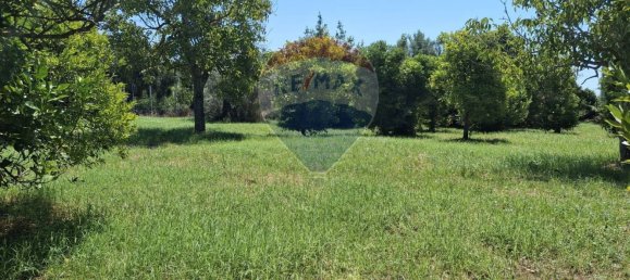 8 rooms Villa in Minturno, Italy No. 268023 14