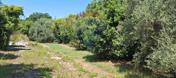 8 rooms Villa in Minturno, Italy No. 268023 32