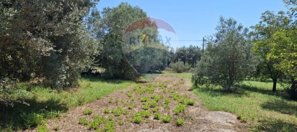 8 rooms Villa in Minturno, Italy No. 268023 19