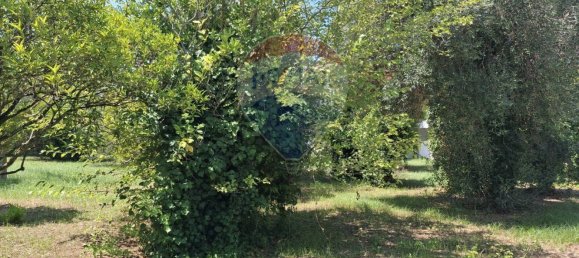 8 rooms Villa in Minturno, Italy No. 268023 10