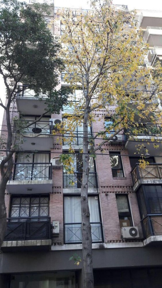 4 bedrooms Apartment in Buenos Aires, Argentina No. 80206
