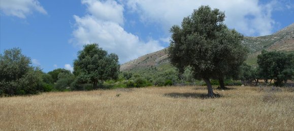 Отель, гостиница 45000м² в Эвбея, Греция № 7792 4