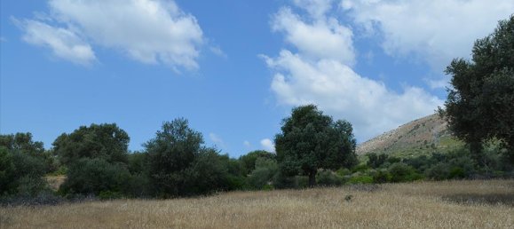 Отель, гостиница 45000м² в Эвбея, Греция № 7792 2