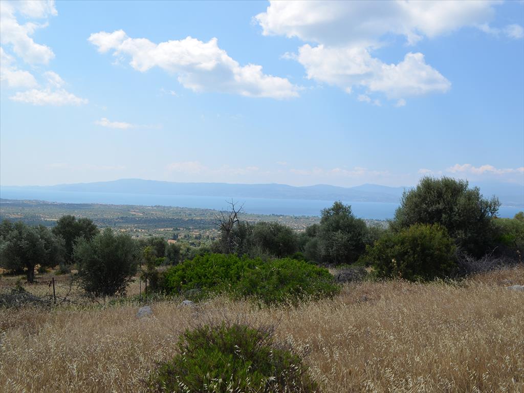  فندق في Euboea, Greece 45000متر مربع رقم 7792