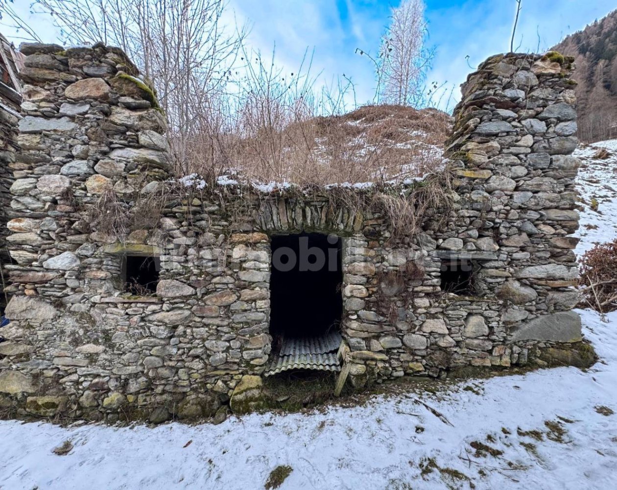 Studio in Rabbi, Italy No. 82749