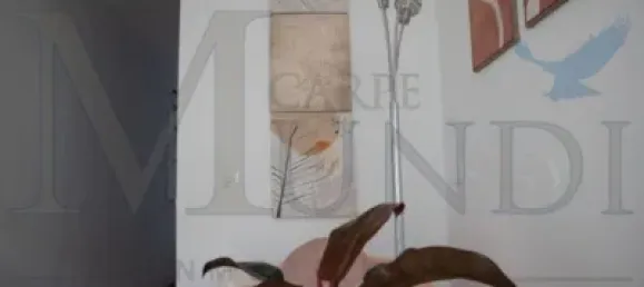 Casa de 3 dormitorios en Tuineje, Spain No. 170122 24