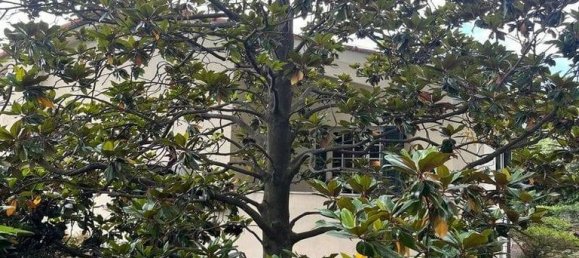 5 غرف نوم فيلا في Arenzano, Italy رقم 334963 11