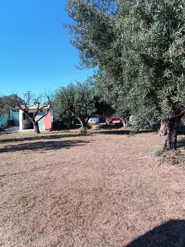  قطعة أرض في Vila-real, Spain رقم 199712