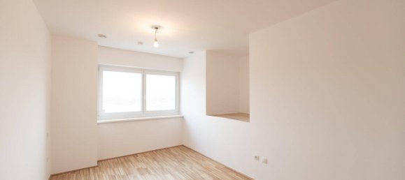 4 rooms Townhouse in Grieskirchen, Austria No. 237523 17