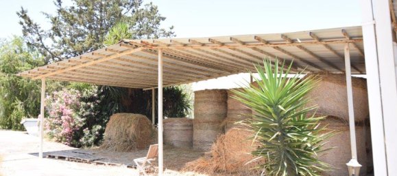 4 غرف نوم فيلا في Nicosia, Cyprus رقم 6038 7