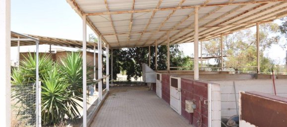 4 Schlafzimmer Villa in Nicosia, Cyprus, Nr. 6038 5