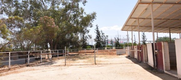 4 غرف نوم فيلا في Nicosia, Cyprus رقم 6038 9