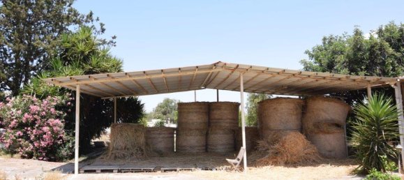 4 Schlafzimmer Villa in Nicosia, Cyprus, Nr. 6038 11