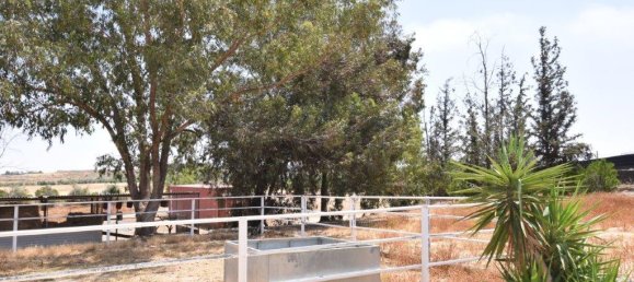 4 Schlafzimmer Villa in Nicosia, Cyprus, Nr. 6038 4