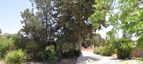 4 غرف نوم فيلا في Nicosia, Cyprus رقم 6038 15
